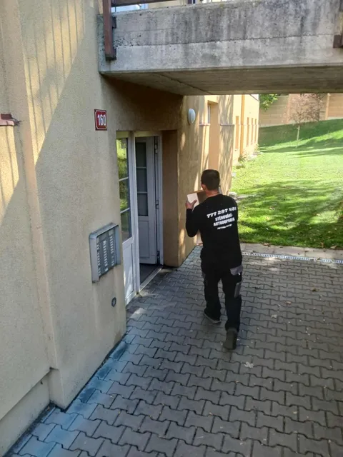 Stěhování nábytku, nakládka do vozu